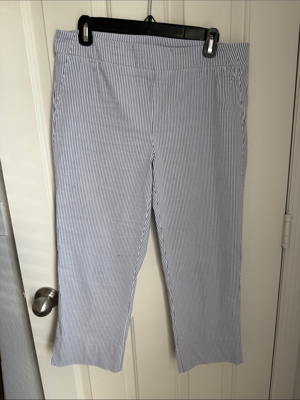 Elastic Waist Summer Blue and White Pinstripe Cropped Pants worn once
